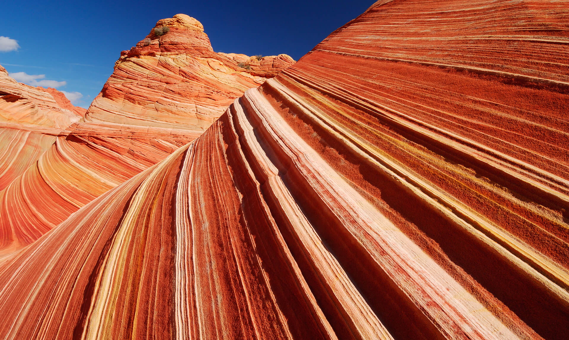 Grand Canyon Mountain